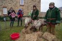 Redrow South Midlands, which has a housing site in Bicester, are bringing reindeers to the development for the public to enjoy