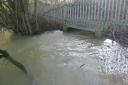Campaigners filmed raw sewage flowing from Witney treatment works into Colwell Brook