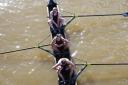 The Oxford Women's team appear dejected after losing the 78th Women's Gemini Boat Race 2024 on the River Thames, London