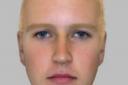 Police release e-fit after girl attacked in Stroud