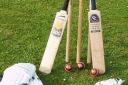 YOUTH CRICKET: Turner leads from the front in Oxfordshire victory
