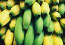 Resistant starch – found in foods such as oats, cereal, beans and slightly green bananas - was shown to be useful in preventing cancers (Canva)