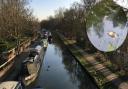 Dead fish have been seen in Oxford's canal