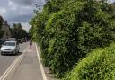 Locals furious at 'dangerous overgrown' cycle path