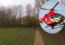 The playing fields where the tree fell struck the man and stock photo of air ambulance