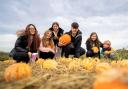 The family Pumpkin Patch event returns this half-term