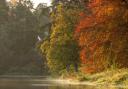 Autumn splendour at Blenheim