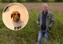 Jeremy Clarkson had to take his dig Sansa to the vets after an eye injury.