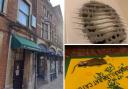 Oxford hotel horror as couple find dead mouse in room