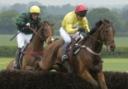 Alex Charles-Jones and Berkeley Court lead Artist's Muse on the way to winning the open maiden race