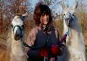 Mary Pryse with her llamas