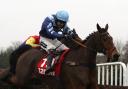 GLORY: Pete The Feat and Aidan Coleman clear the last fence before going on to win the 32Red Veterans’ Handicap Chase at Sandown on Saturday Julian Herbert/PA Wire