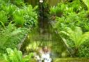 A water feature in the Lyde Gardens in Bledlow Pictures: George Wormald