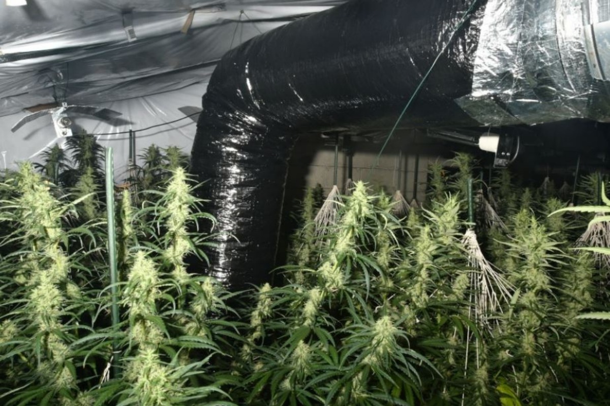 Adhurim Hoxha and the cannabis factory in which he was working Pictures: TVP