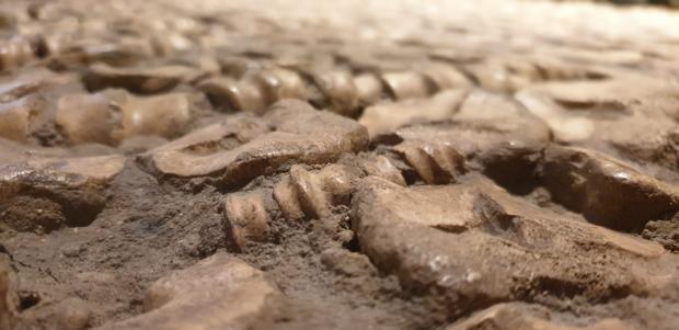 Oxford Mail: Close up shot of the kuncklebone pavement dating from the 1600s (Sophie Perry)