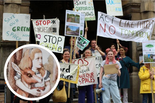 A previous Oxford4Nature demonstration which was held on September 25 2021, with a stock graphic of Alice from Alice in Wonderland. Picture: Oxford4Nature/Unsplash