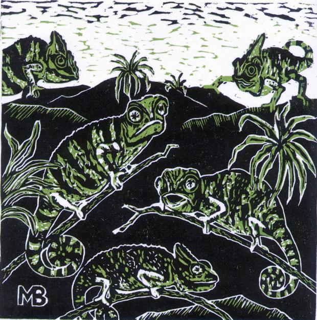 Oxford Mail: Scene by Margot Bell in Species by the Oxford Printmakers’ Workshop