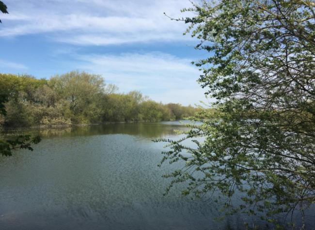 Ducklington Lake in Witney. Picture: Liam Rice