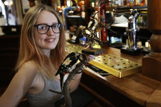 Three taxidermy birds have been given to The Star after a taxidermy woodpecker was stolen. Pictured is Star staff member Issy Thain. Picture by Ed Nix