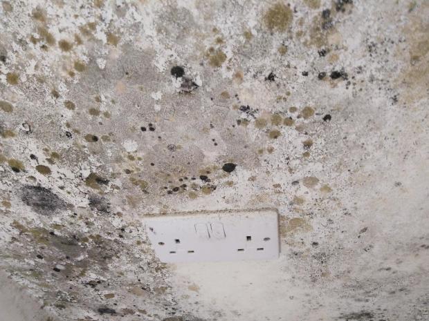 Oxford Mail: Mould surrounding a plug socket in the house