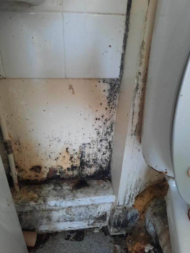 Oxford Mail: The extent of the mould in the bathroom