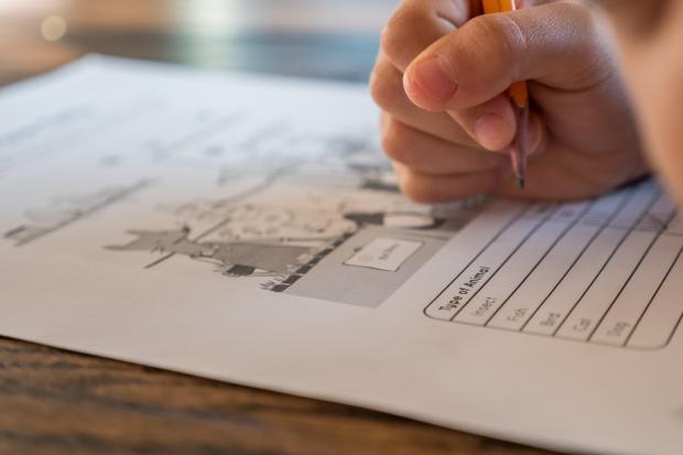 Oxford Mail: A student filling out a worksheet. Credit: Canva