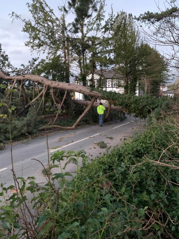 Oxford Mail: Aftermath of Storm Arwen in Cheshire (PA)