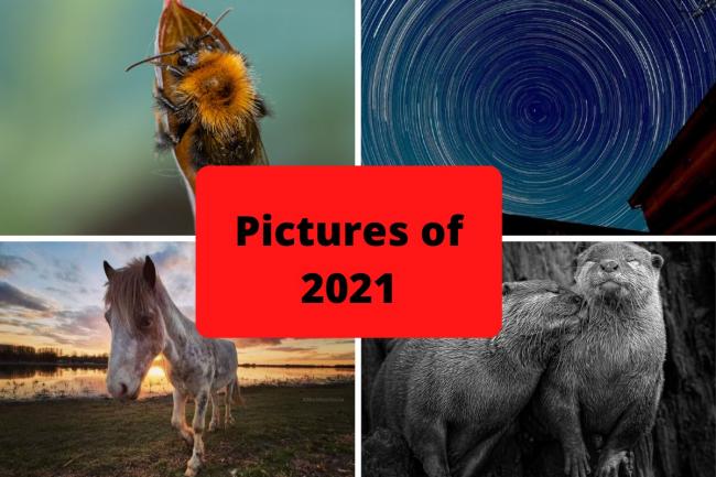 Camera Club pictures of the year