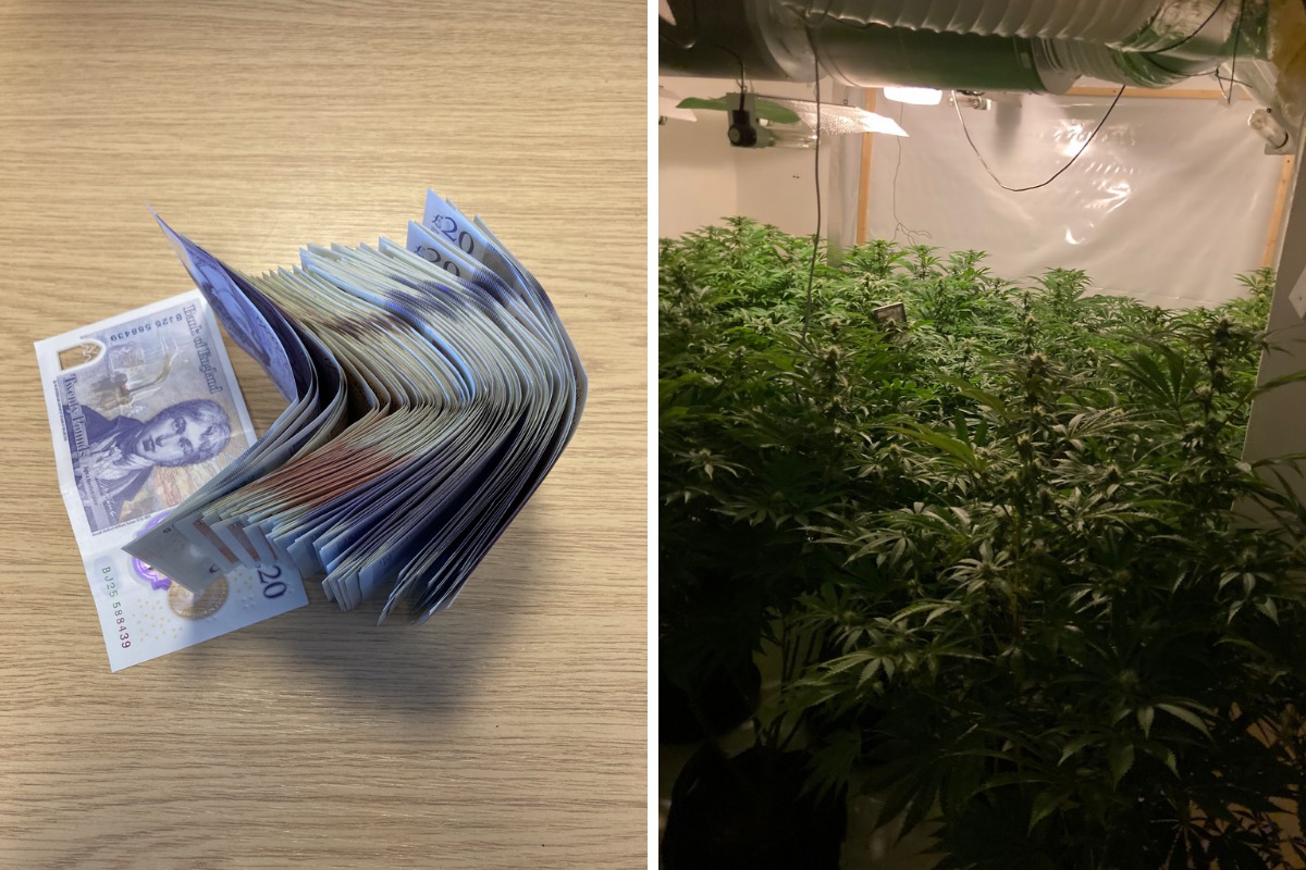 Cash and cannabis found on recent raids in Blackbird Leys Pictures: TVP
