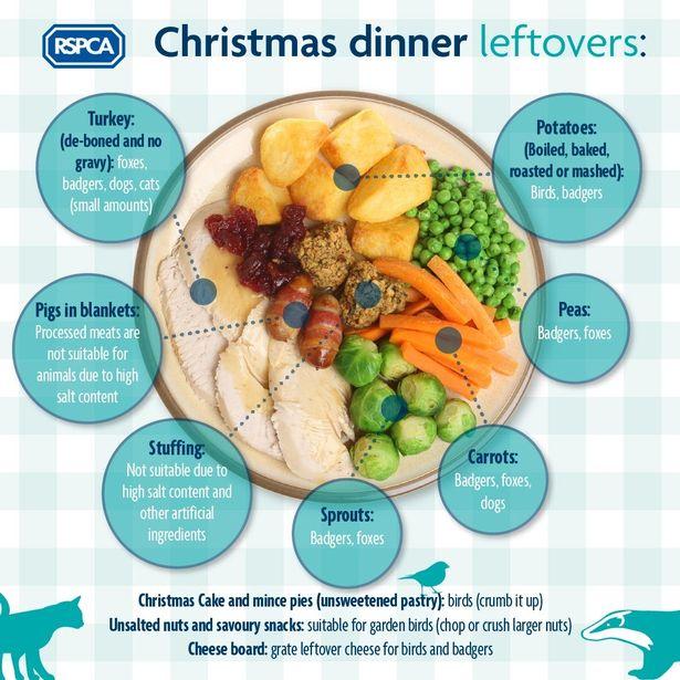 Oxford Mail: Some Christmas dinner leftovers can be hazardous to pets. Picture: RSPCA