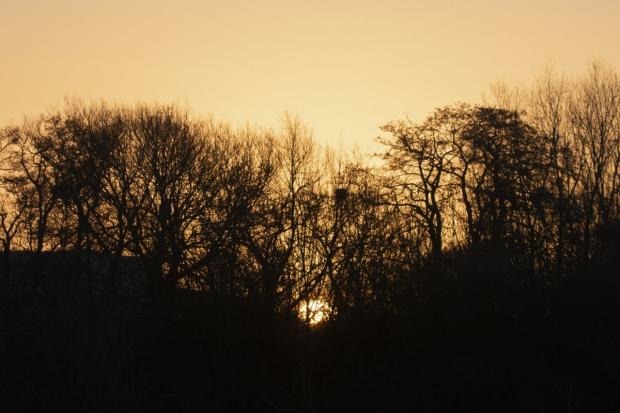Oxford Mail: The Lye Valley at dawn. Picture: Tom Bedford