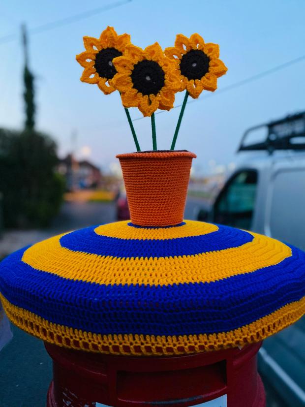 Oxford Mail: Yarnsy made this topper to show her love and support for Ukraine.
