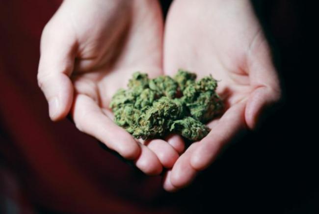 Drogendealer aus Abingdon entgeht Gefängnis, nachdem er Cannabis in großen Mengen gekauft hat