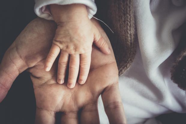 Oxford Mail: A Father and child's hand next to each other. Credit: Canva