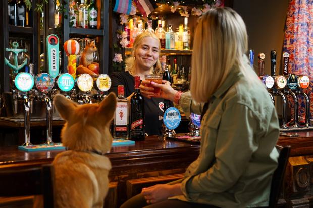 Oxford Mail: Take a Corgi for a free 'Queen's Tipple' over the Platinum Jubilee weekend. Picture: Greene King