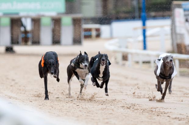 Oxford Mail: The penultimate race day at Oxford Stadium before greyhound racing stopped. Picture: Andrew Walmsley