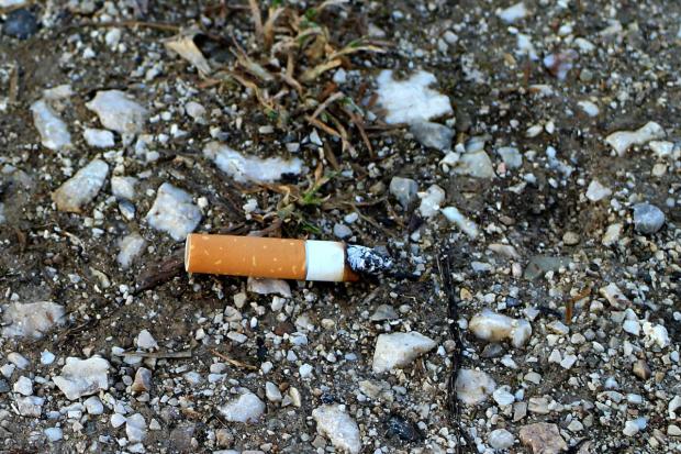 Man fined hundreds of pounds for dropping cigarette