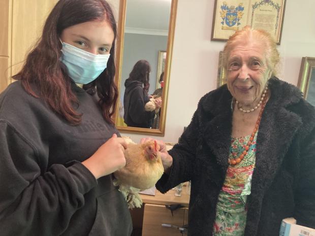 Oxford Mail: Bantam chickens Pasta and Tesco visited Madley Park House care home. Picture provided by The Orders of St John Care Trust