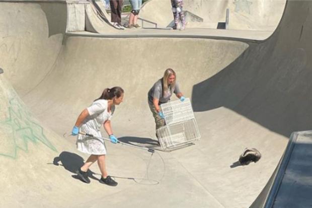 Oxford Mail: Debbie White and her daughter Amelia worked to rescue the badger. Picture: Skate Girl Oxford 