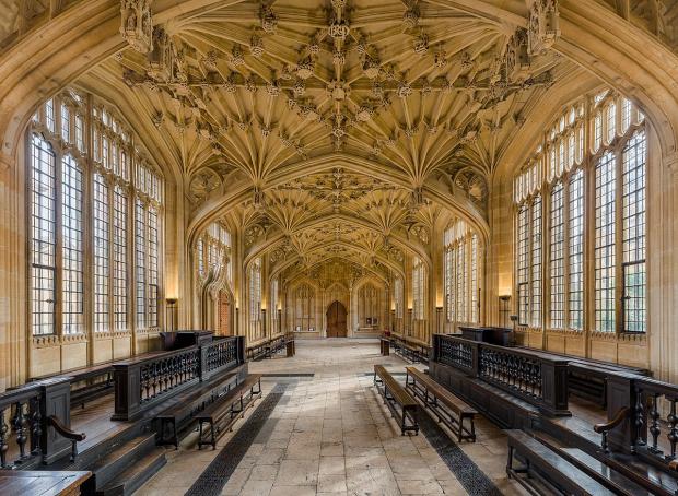Oxford Mail: Divinity School - Bodleian Library