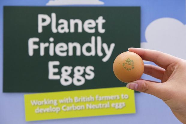 Oxford Mail: The eggs will be available in a certain number of stores at first (PA)