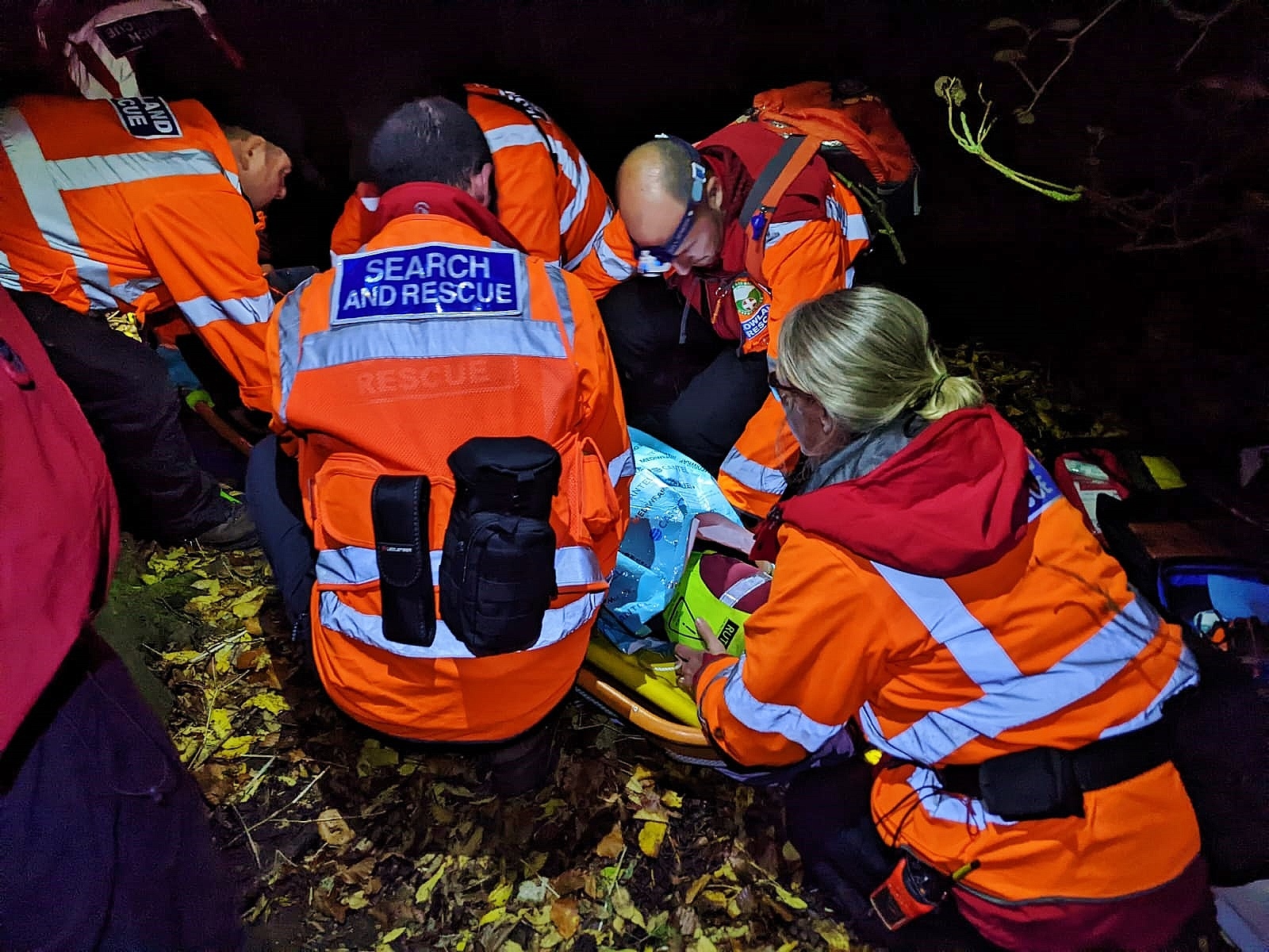 Lowland Rescue charity volunteers train in Blenheim Palace grounds - Vimarsana News