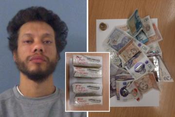 'One punch killer' caught selling drugs at Wilderness Festival