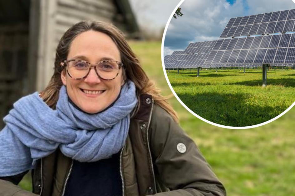 Solar farms at risk of 'overwhelming' villages, says councillor 