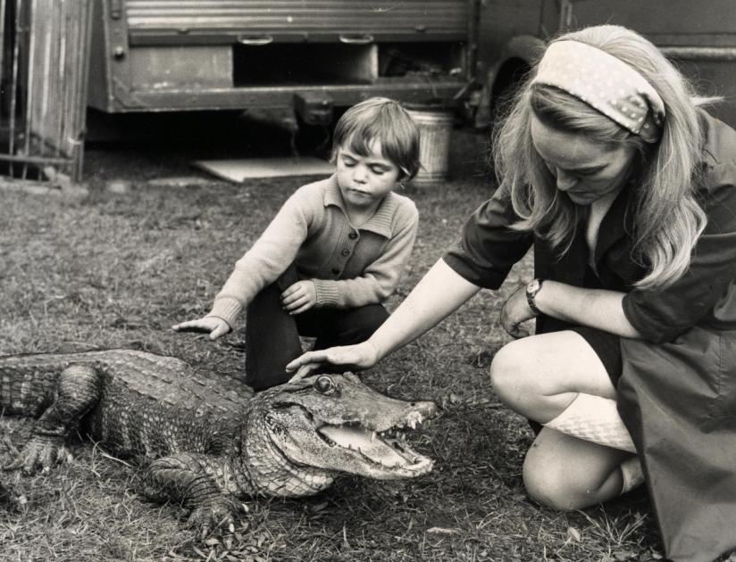 10 photos of 1971 when a crocodile came to Oxpens in Oxford