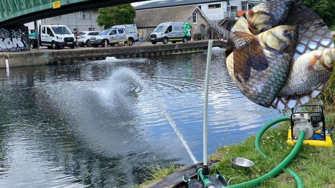 Environment Agency urges public to report fish in distress