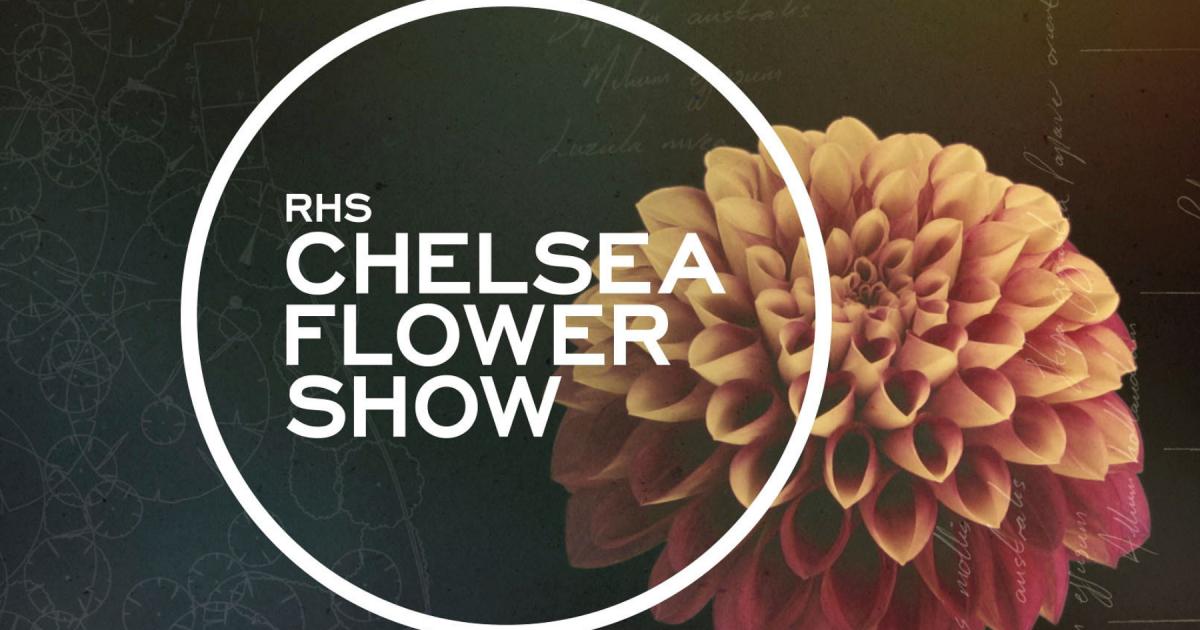 So sehen Sie die RHS Chelsea Flower Show 2024 im Fernsehen