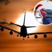 Cheap Christmas flights - best time to book is TODAY (here's some bargain destinations)