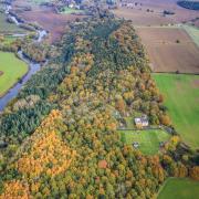 John Clegg & Co: Historic Oxfordshire woodland