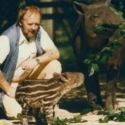 In 1994, Cotswold Wildlife Park was home to the oldest tapir in the UK